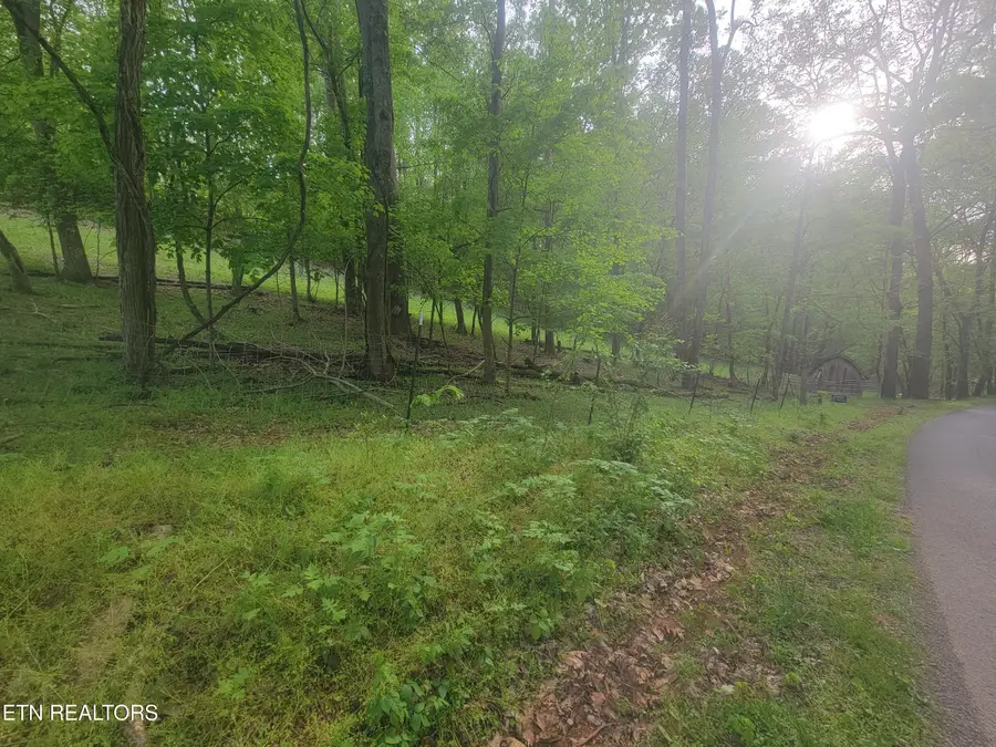 Fielden Store Rd, New Market, TN 37820 - #3