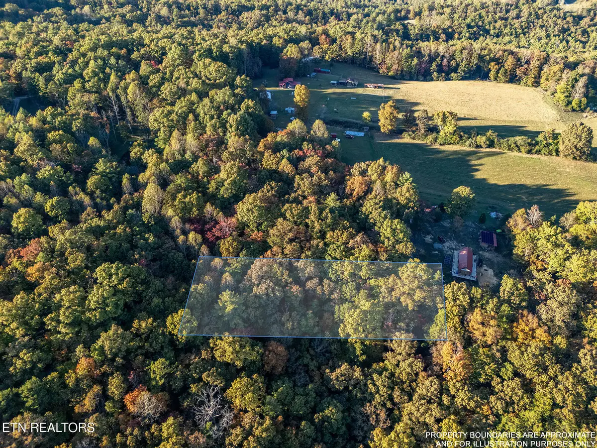 Lee Cox Rd, Oakdale, TN 37829 - #1