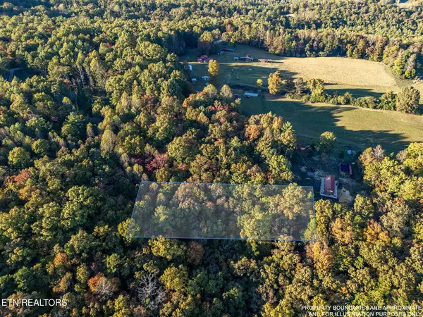 Lee Cox Rd, Oakdale, TN 37829