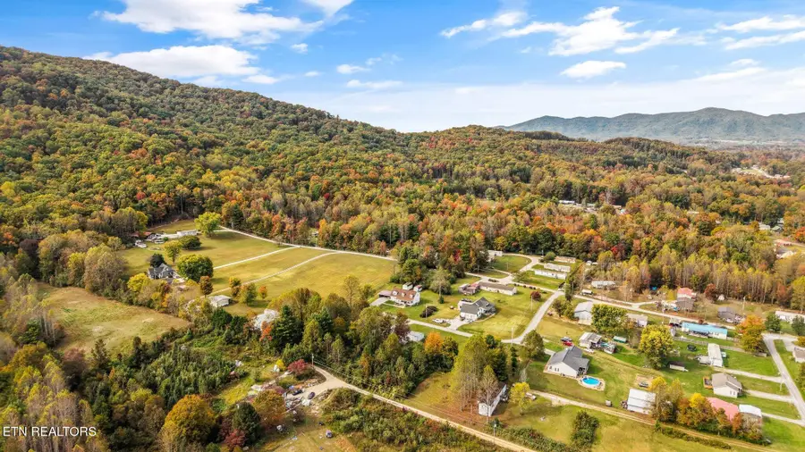 126 Greenwood Drive, Wartburg, TN 37887 - #3