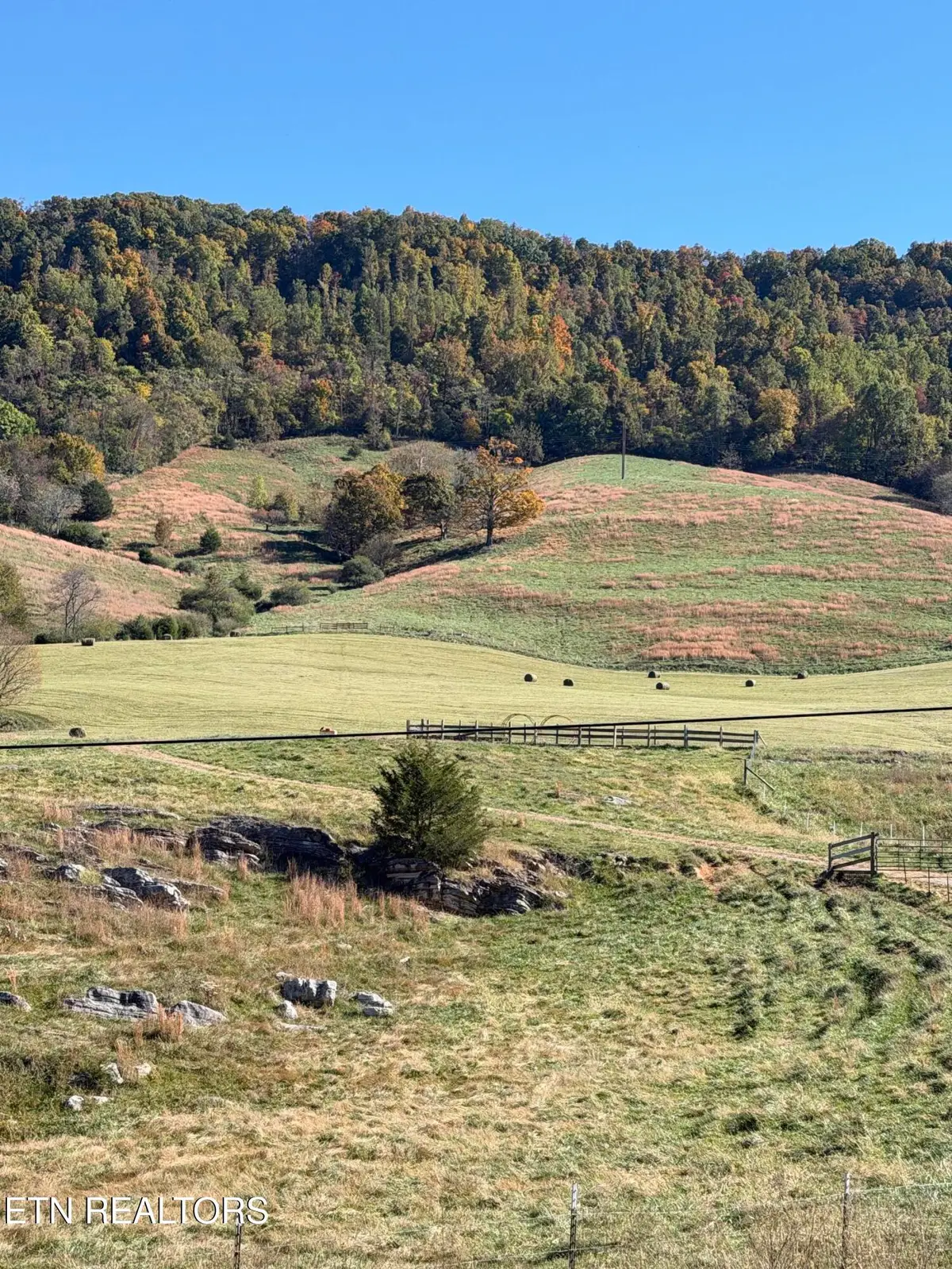 Little Sycamore Rd, Tazewell, TN 37879 - #1