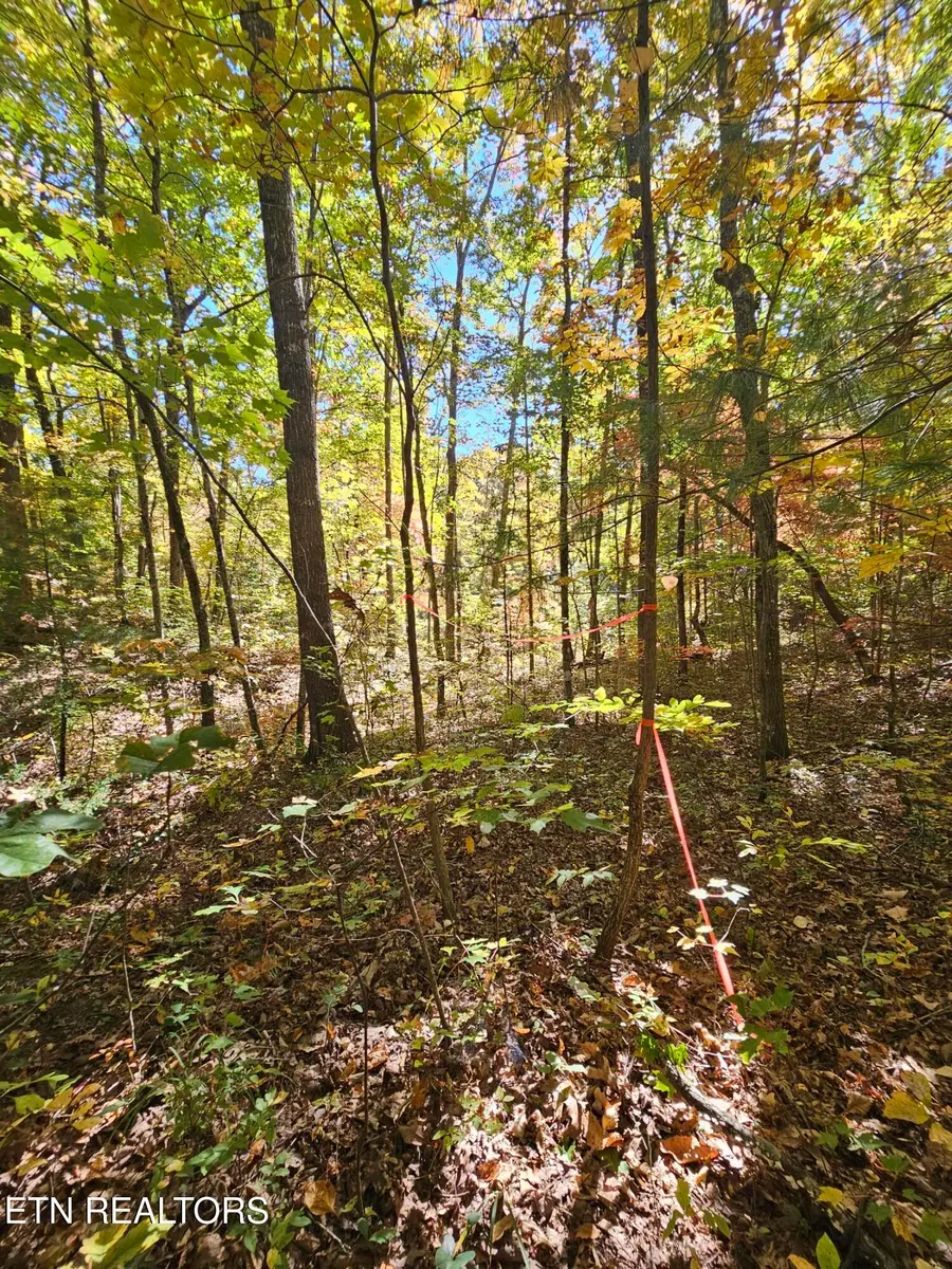 5906 Omega Drive, Tallassee, TN 37878 - #3
