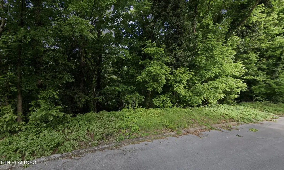 Cedar St, Greeneville, TN 37743 - #1