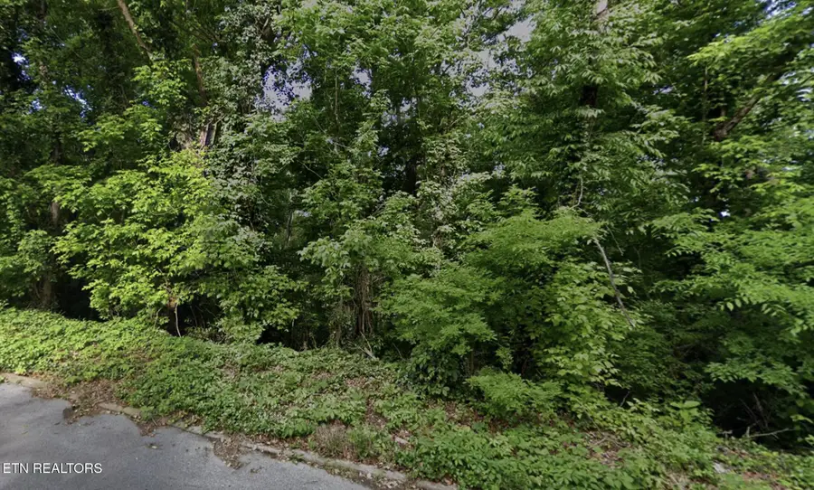 Cedar St, Greeneville, TN 37743 - #3