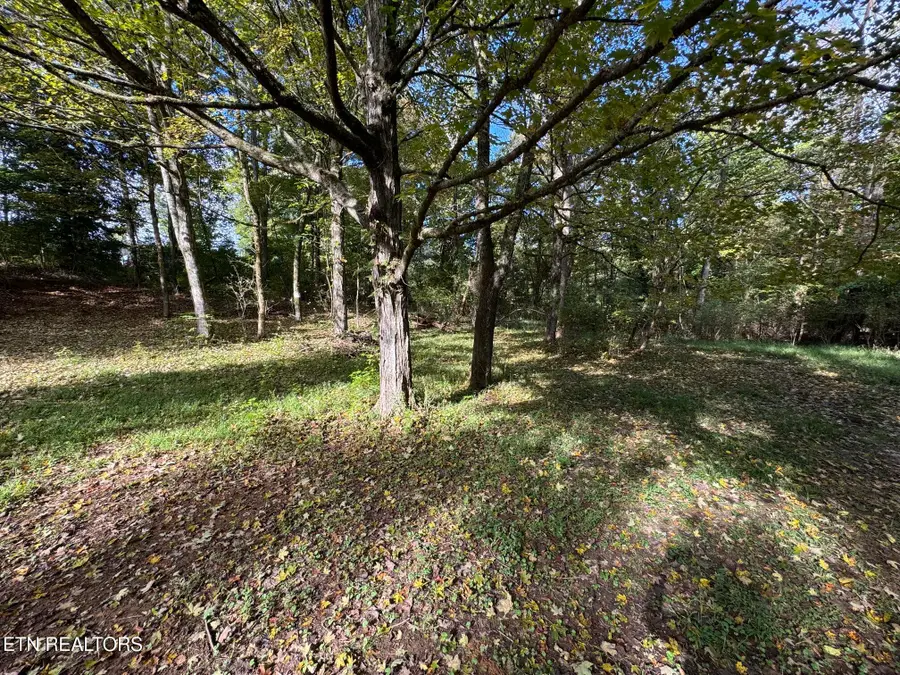 100 County Road 671, Athens, TN 37303 - #3