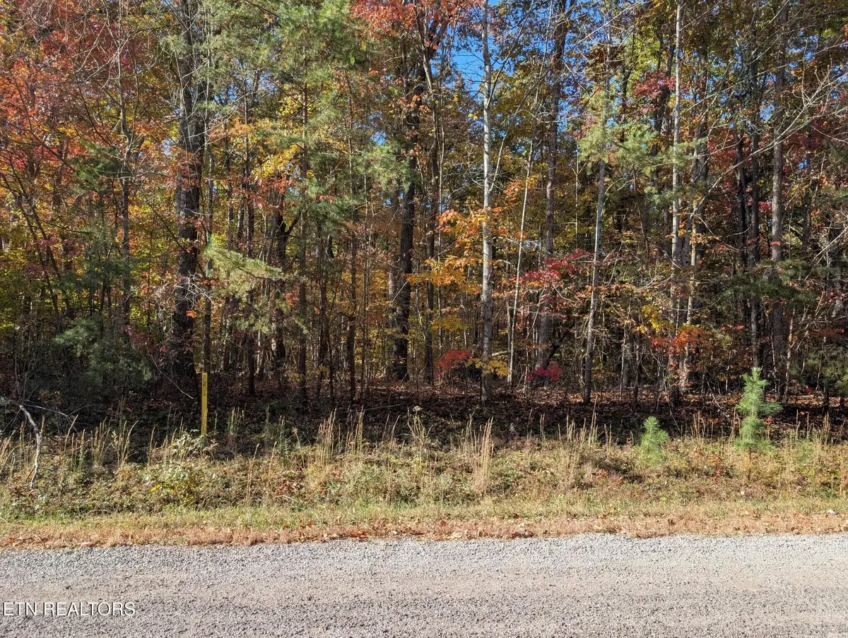 Tanner Drive - Lot 6, Monterey, TN 38574 - #1