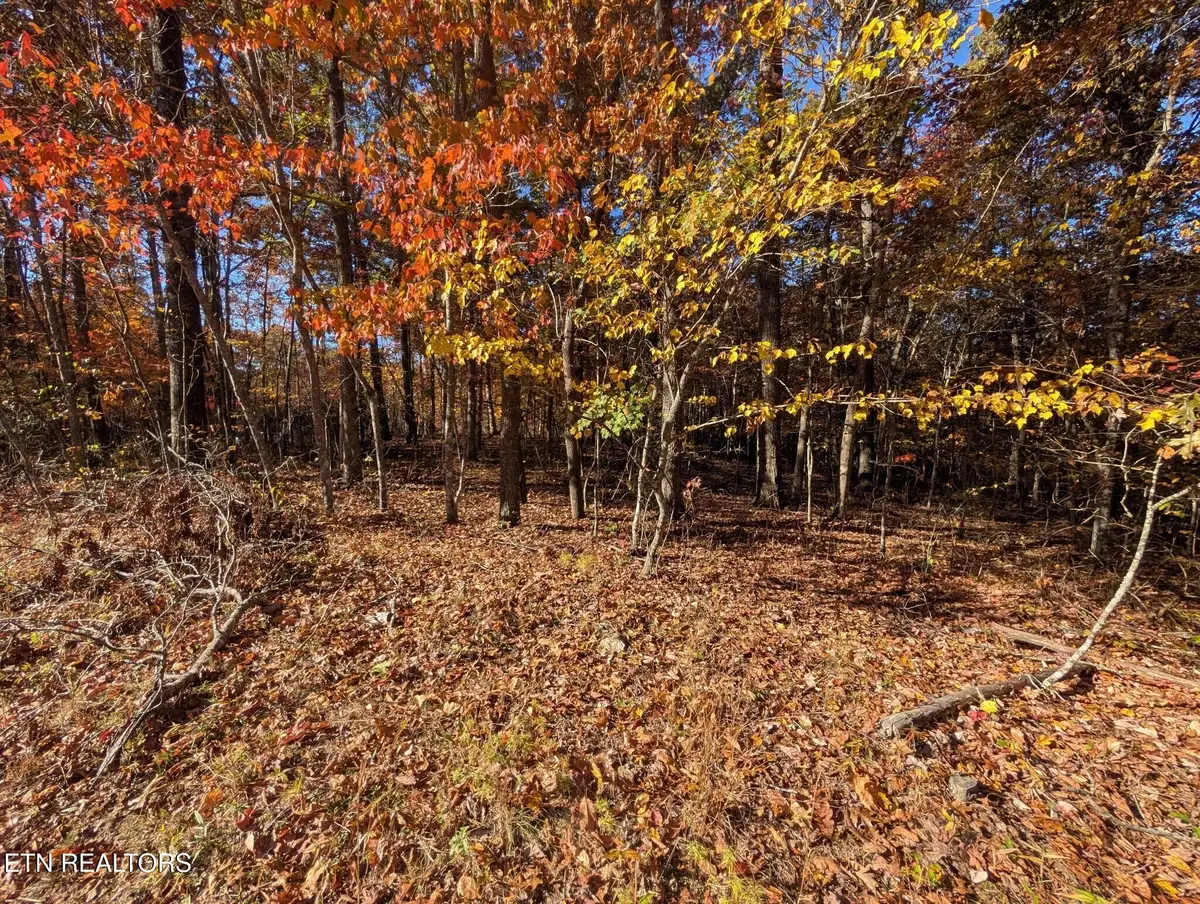 Belmont Circle - Lot 44, Monterey, TN 38574 - #1