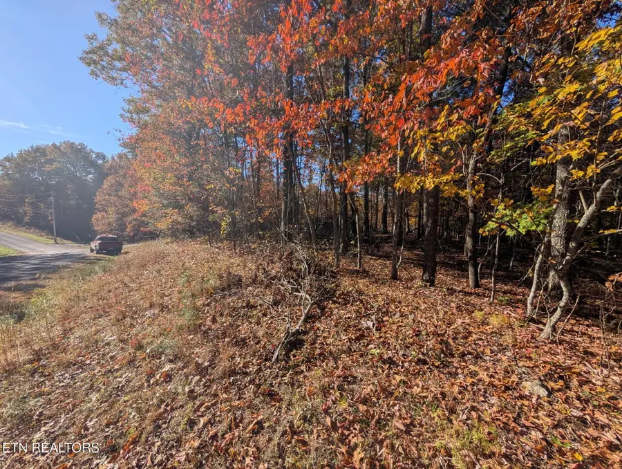 Belmont Circle - Lot 44, Monterey, TN 38574 - #3