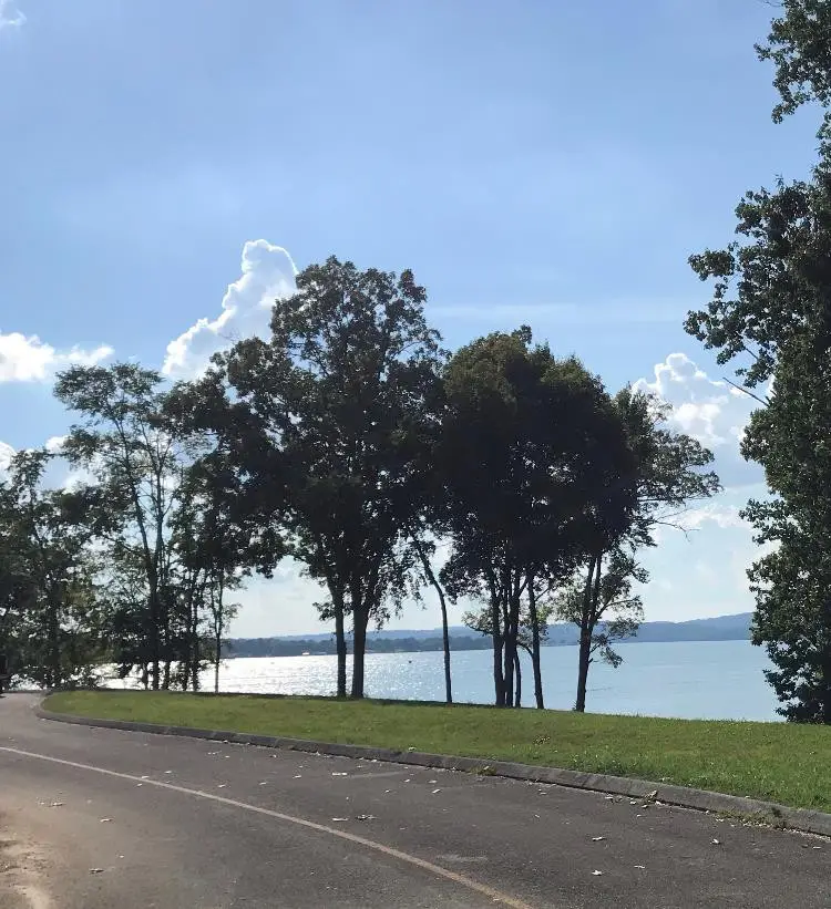 3608 Ferry Crest Way, Baneberry, TN 37890 - Image #3