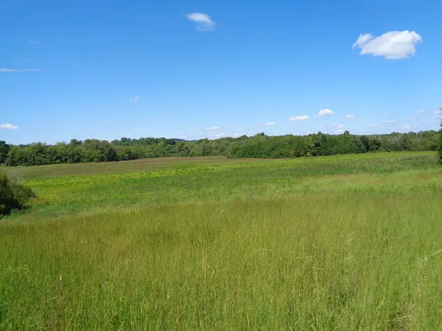 5375 Fred Marshall Rd, Russellville, TN 37860 - Image #3