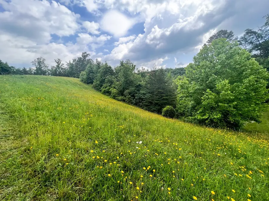 6213 Outlook Trl., Russellville, TN 37860 - Image #2