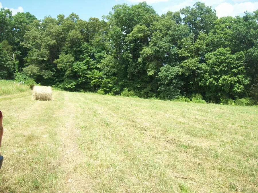 0 Alanthus Hill Road, Tazewell, TN 37879 - Image #3