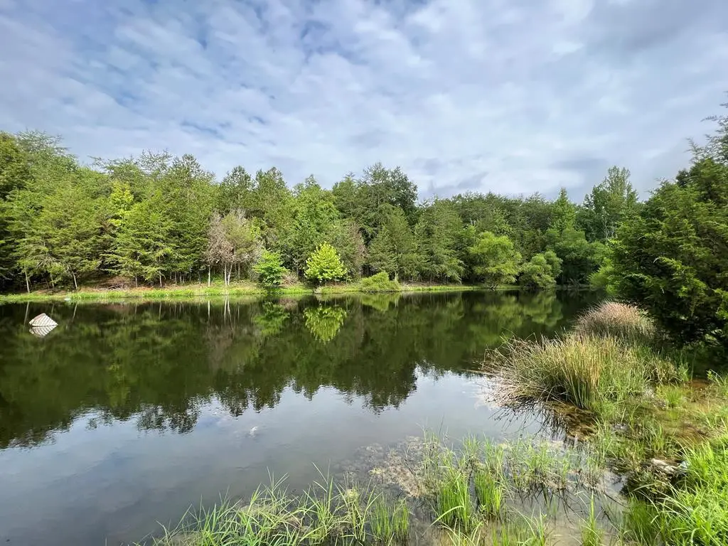 790 Lonesome Pine Road, Bybee, TN 37713 - #1