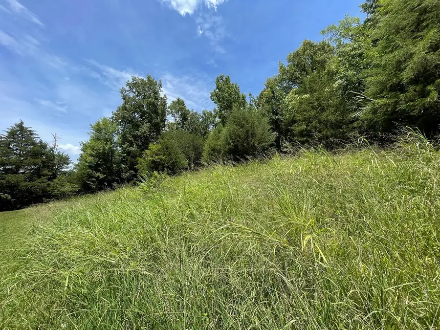 102 Lakeshore Way, Newport, TN 37821 - Image #2