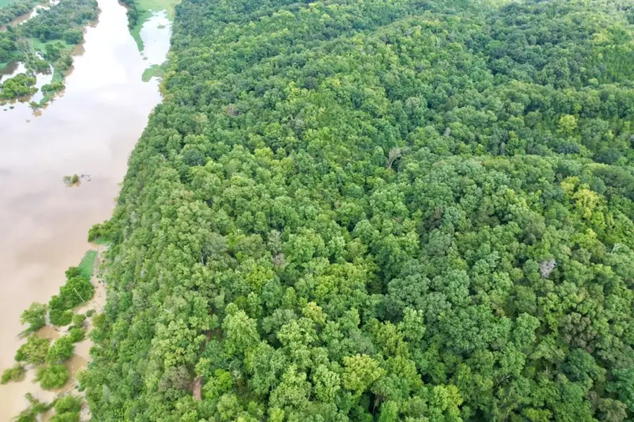 Lot 6 Corn Hollow Road, Newport, TN 37821 - Image #2