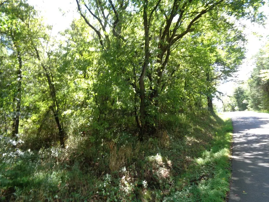 LOT 1&2 5375 Fred Marshall Rd, Russellville, TN 37860 - Image #1