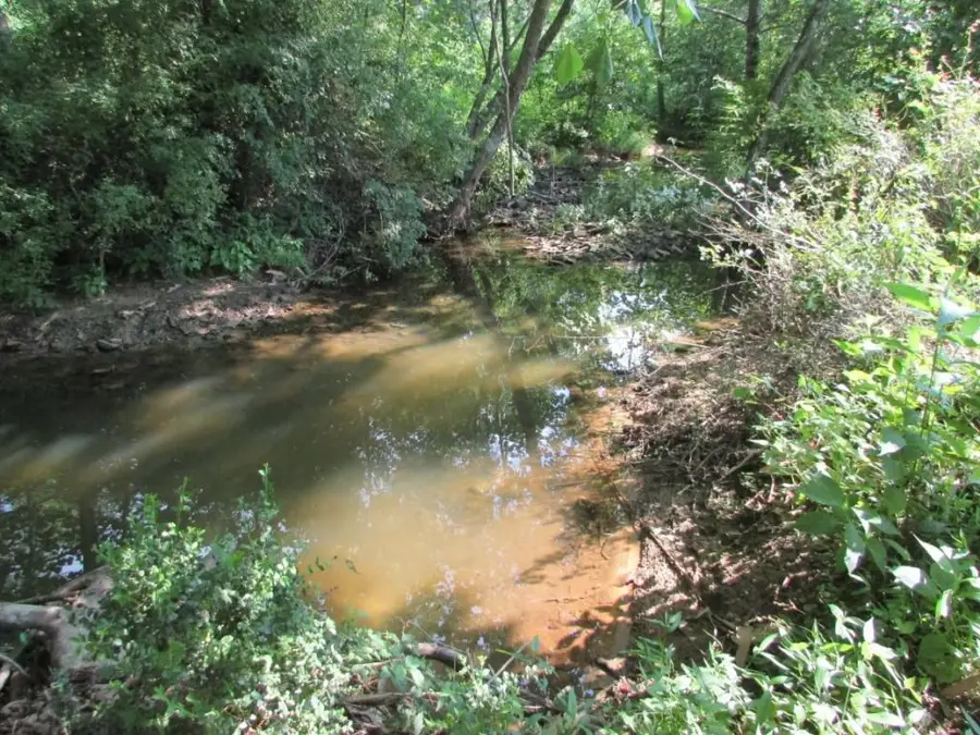 LOT 1&2 5375 Fred Marshall Rd, Russellville, TN 37860 - Image #2