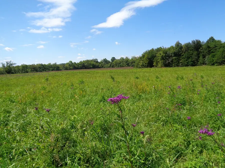 LOT 3&4 5375 Fred Marshall Rd, Russellville, TN 37860 - Image #2