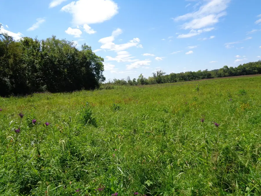 LOT 3&4 5375 Fred Marshall Rd, Russellville, TN 37860 - Image #3