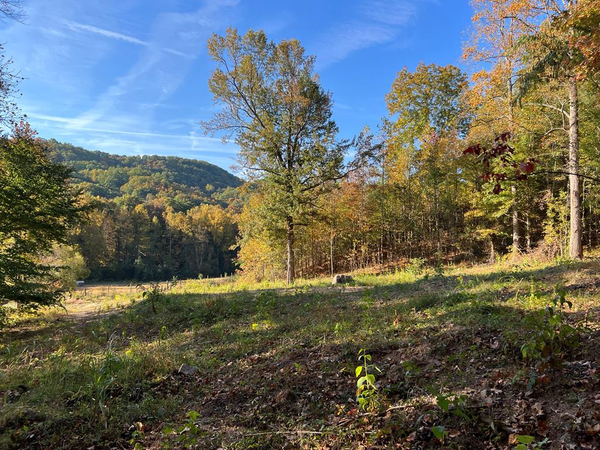 Poor Valley Rd, Rutledge, TN 37861