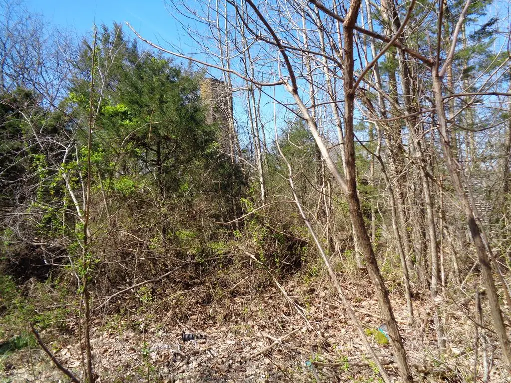 LOT 1 5375 Fred Marshall Road, Russellville, TN 37860 - Image #1