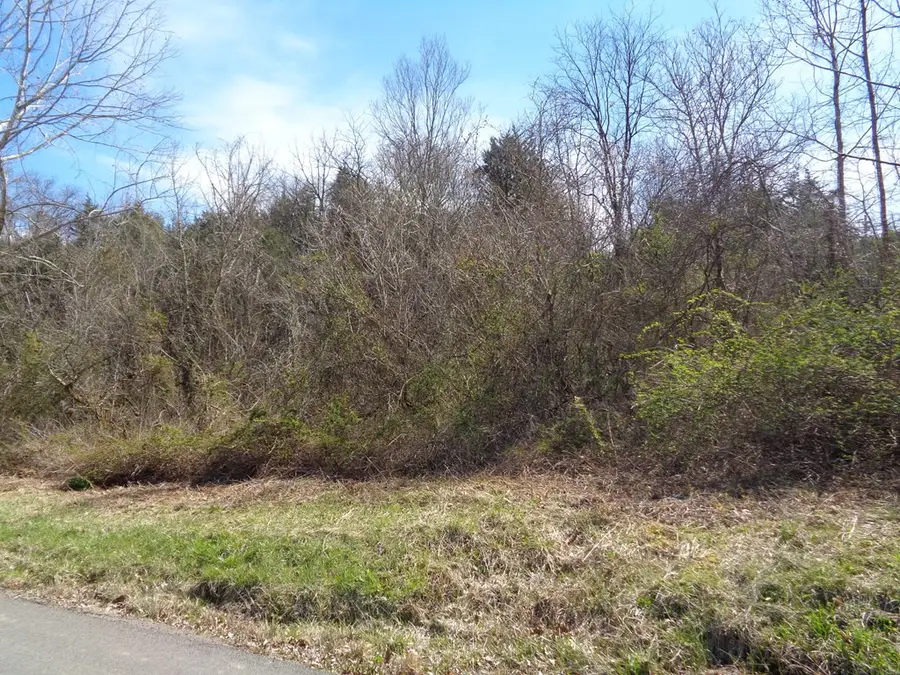 LOT 1 5375 Fred Marshall Road, Russellville, TN 37860 - Image #3