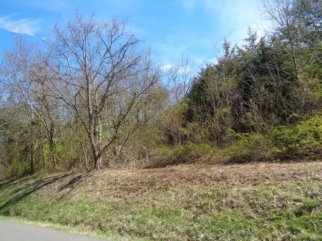 LOT 2 5375 Fred Marshall Road, Russellville, TN 37860 - Image #1