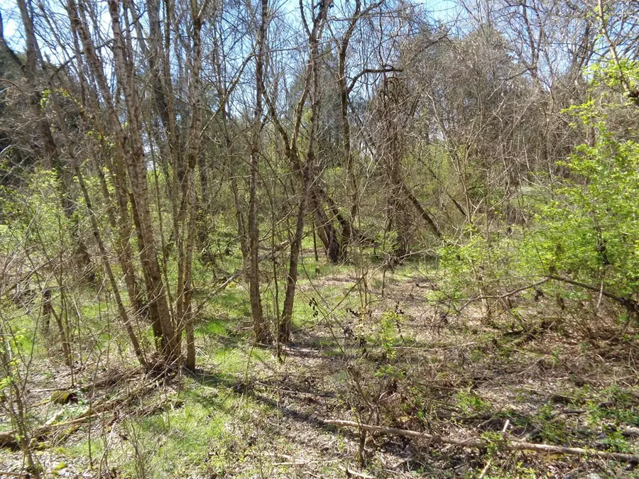 LOT 2 5375 Fred Marshall Road, Russellville, TN 37860 - Image #2