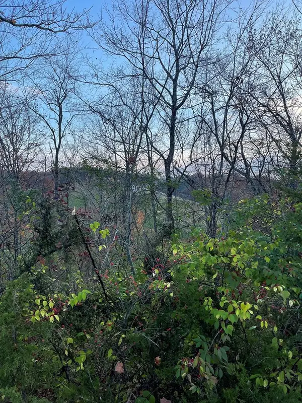 Lot 19 Sugar Maple Loop Road, Sevierville, TN 37862