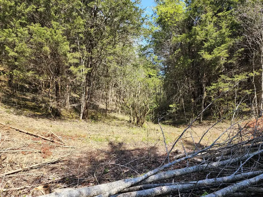 ---- Busler Road, Bybee, TN 37713 - Image #3