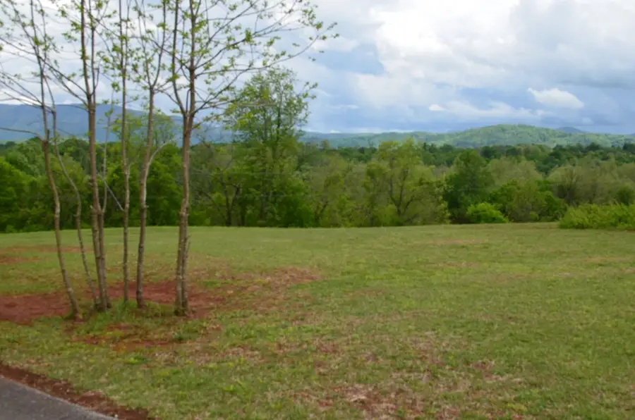 Lot 22R Golf Villa Drive, Greeneville, TN 37743 - Image #2