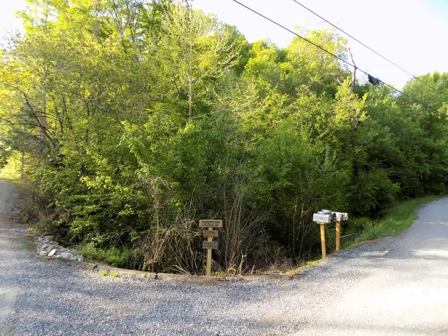 Par 023.04 Driftwood Road, Cosby, TN 37722 - Image #2