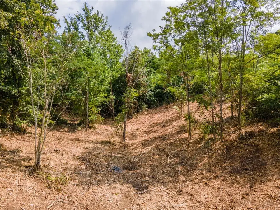 Lot 102 Stone Bridge Dr, Dandridge, TN 37725 - Image #2