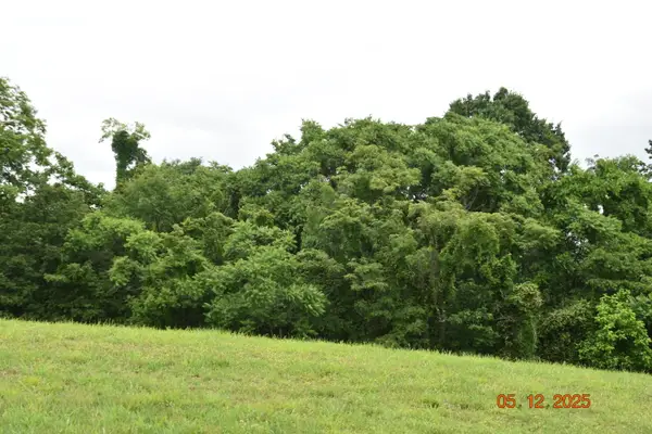 Lot 230 Harbor View, Mooresburg, TN 37811