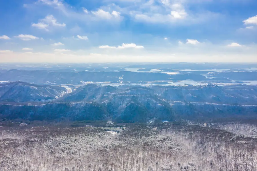 902 Charlie Dalton Lane, Thorn Hill, TN 37881 - #3