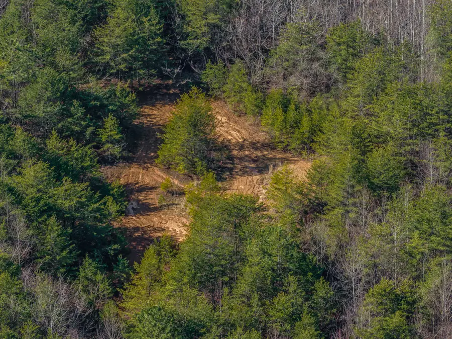 203 Lincoln Ave Avenue, Morristown, TN 37813 - Image #3