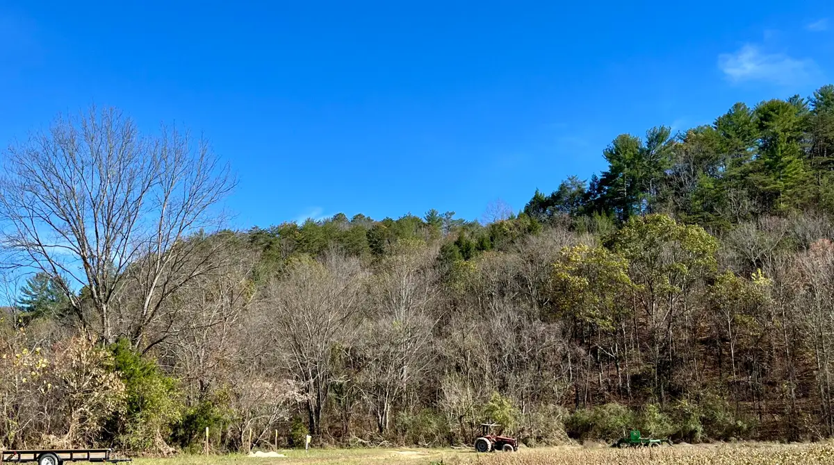 2720 Lot D E Hwy 25/70, Del Rio, TN 37727 - Image #1
