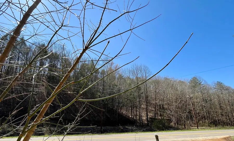 2720 Lot E E Hwy 25 70, Del Rio, TN 37727 - Image #3