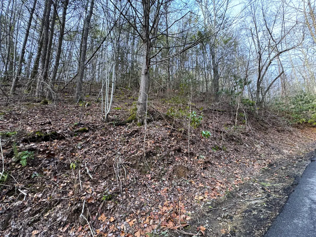 Lot 10 Black Gum Gap Road, Gatlinburg, TN 37738 - Image #1