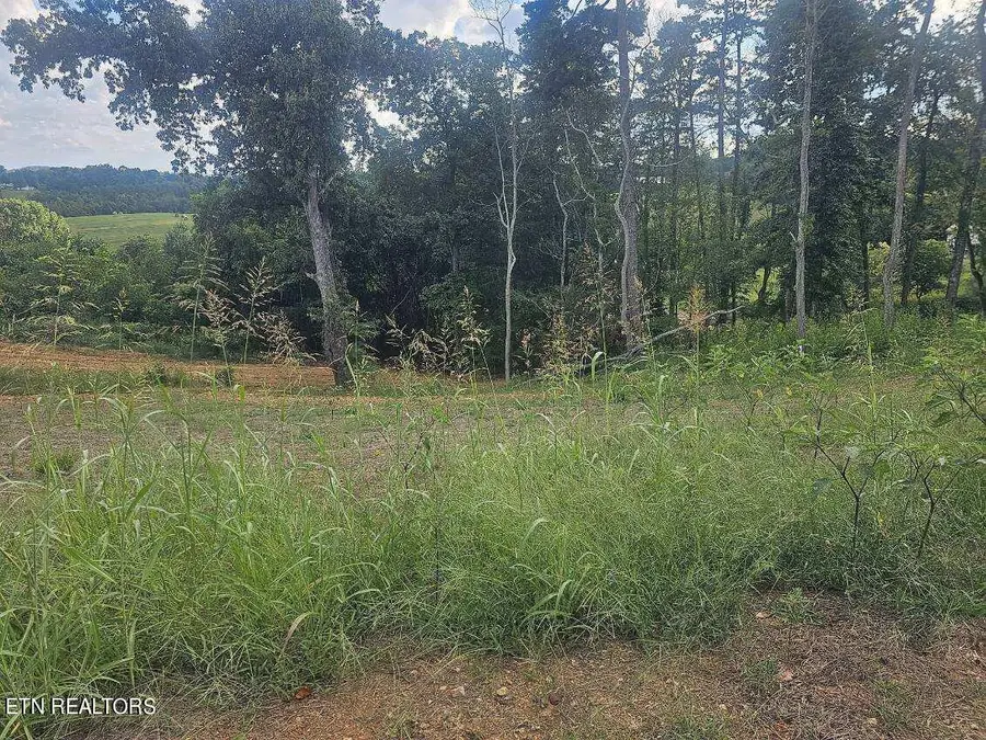 Lot 290 Inlet Cove, Morristown, TN 37814 - Image #2