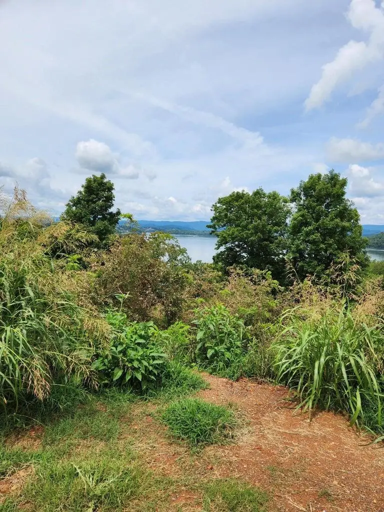 2643 Serenity Sound, Morristown, TN 37814 - Image #2