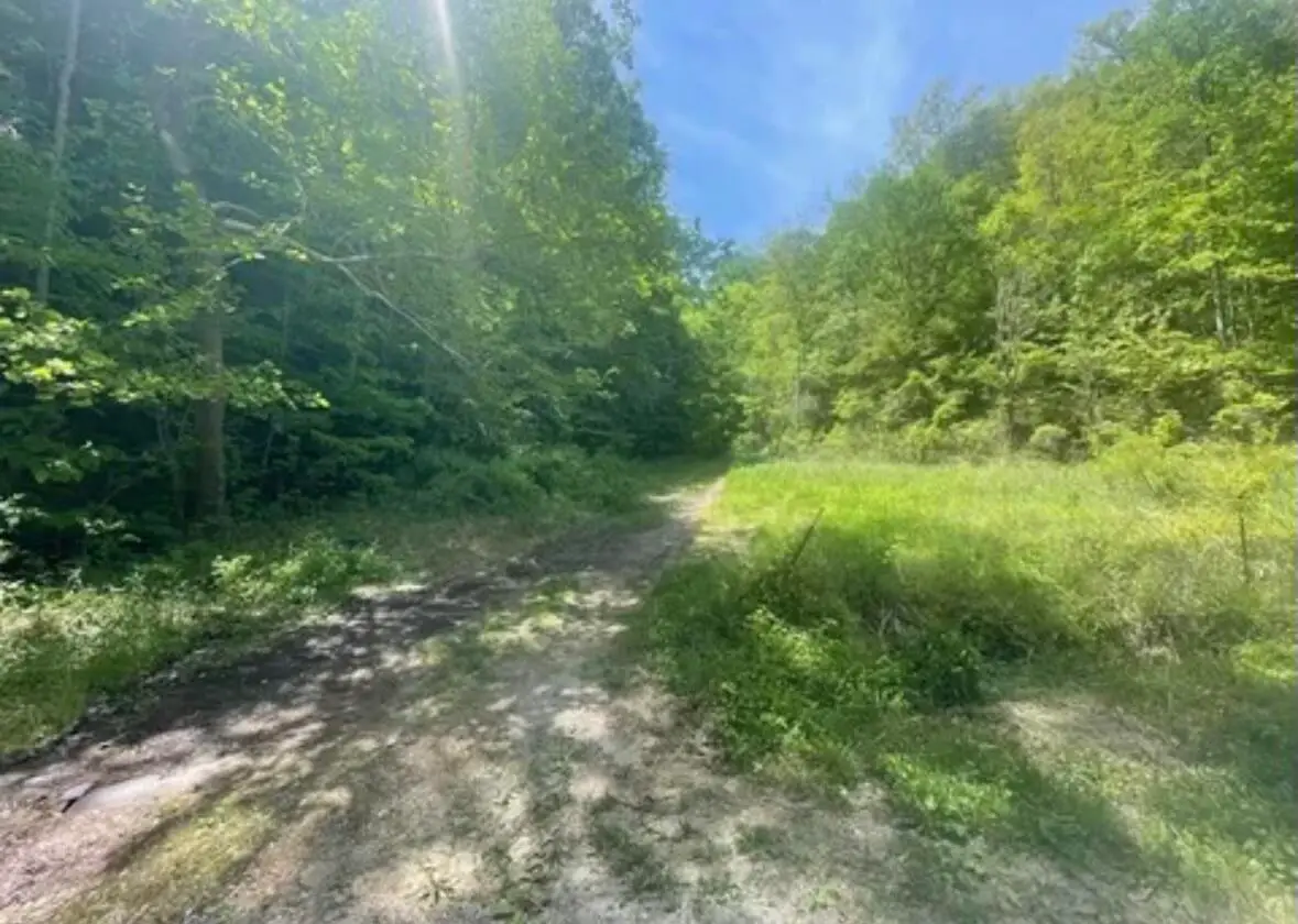 0 Gaps Chapel Road, Sneedville, TN 37869 - Image #1