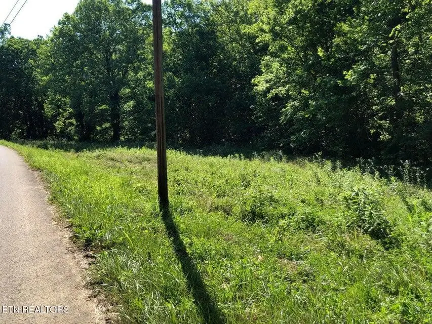 TBD Jackson Hollow Road, Thorn Hill, TN 37881 - Image #3