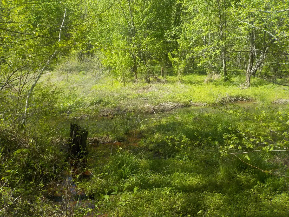 0 Steve Brown Road, Bean Station, TN 37708 - Image #1