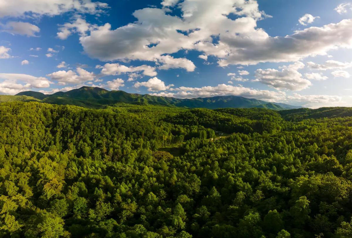 3963 Off Lindsey Gap Rd, Hartford, TN 37753 - Image #1