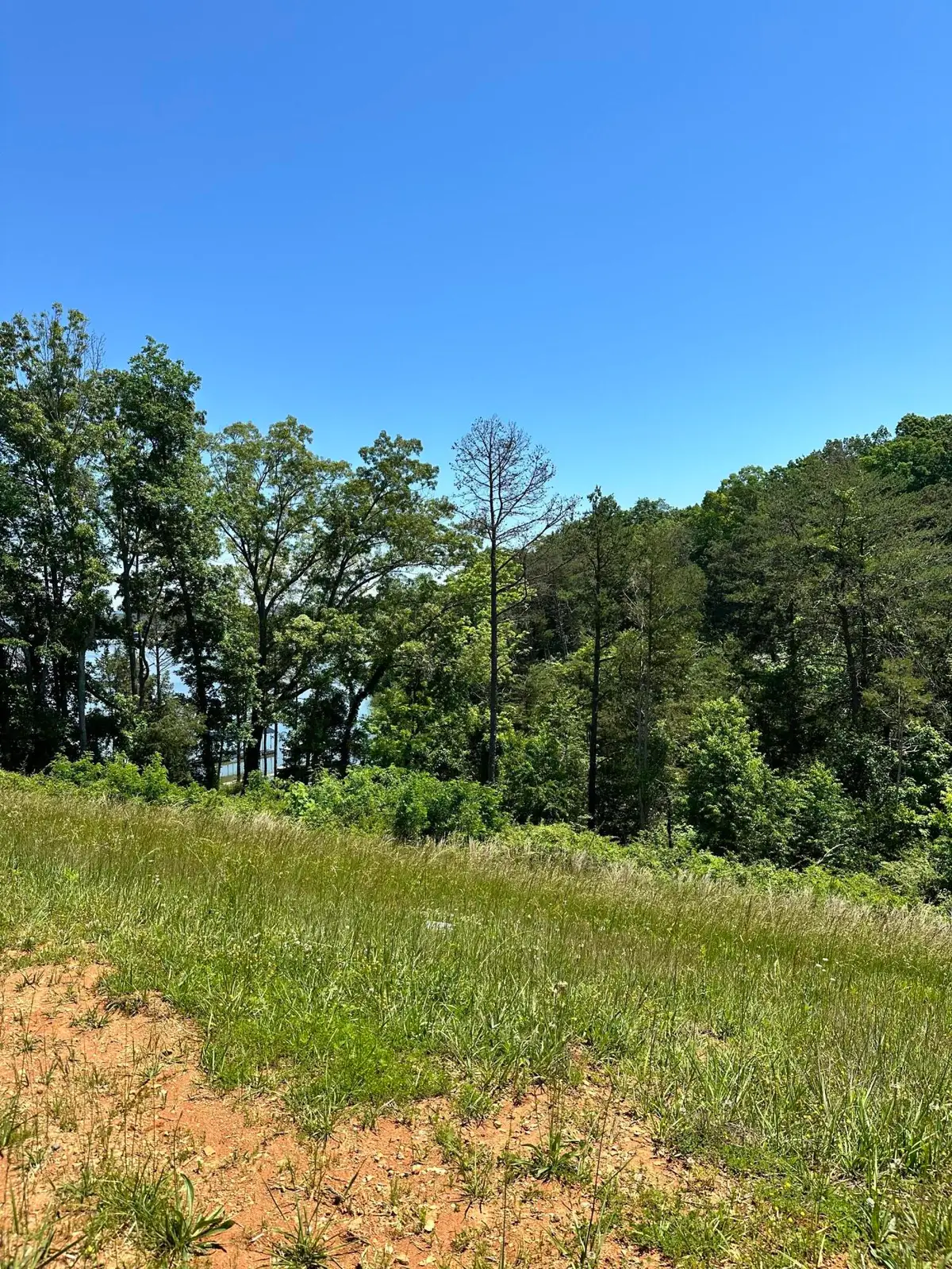 Lot 149 Bridgewater Boulevard, Morristown, TN 37814 - Image #1