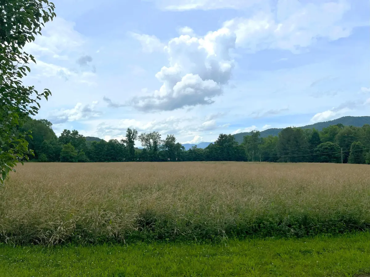 Par 130.01 S Hwy 32, Cosby, TN 37722 - #1