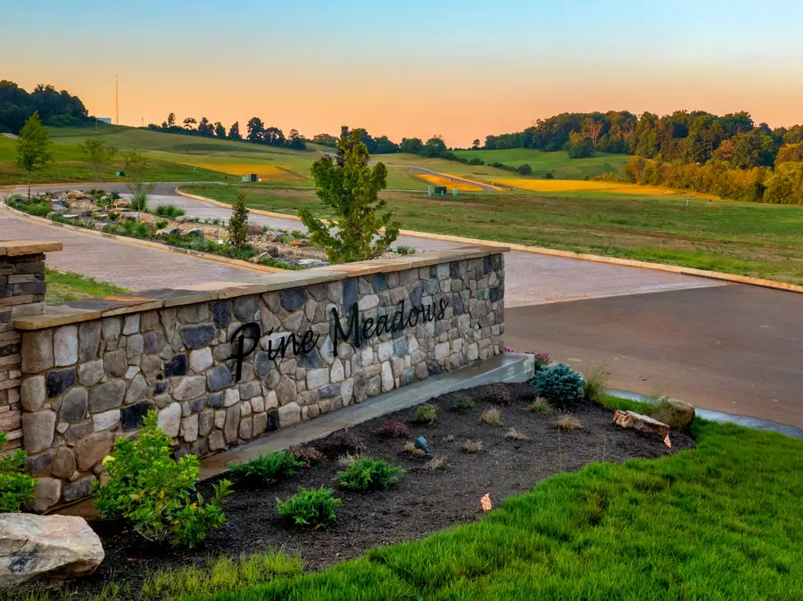 Lot 36 Meadow Vista Way, White Pine, TN 37890 - Image #2