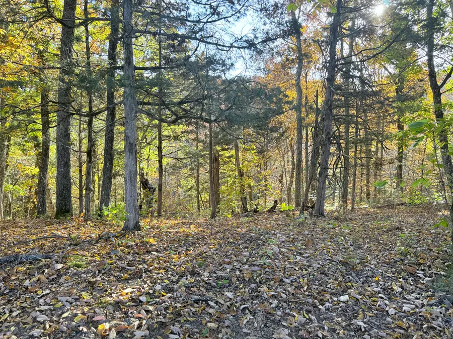 Tract 6 Topaz Way, Parrottsville, TN 37843 - Image #2