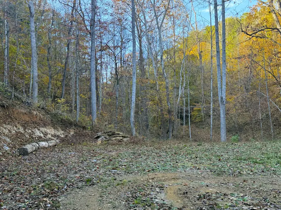 Tract 7 Topaz Way, Parrottsville, TN 37843 - Image #3